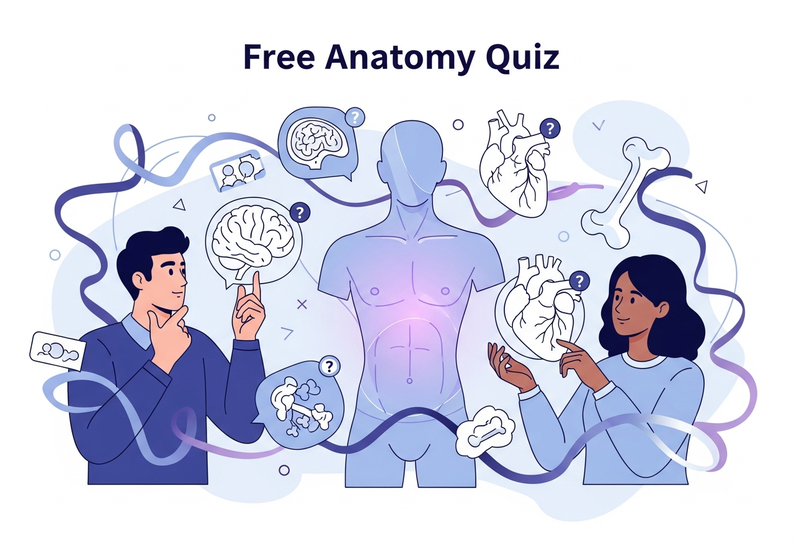 Test cuestionario gratuito de anatomía