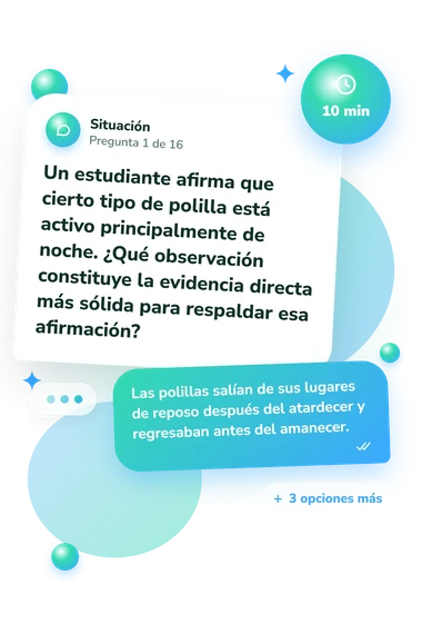 Test cuestionario de comprensión 5.4: situación y respuestas