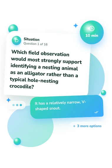 Alligator vs Crocodile Quiz: what would you do Alligator vs Crocodile Quiz: situation and reply bubbles
