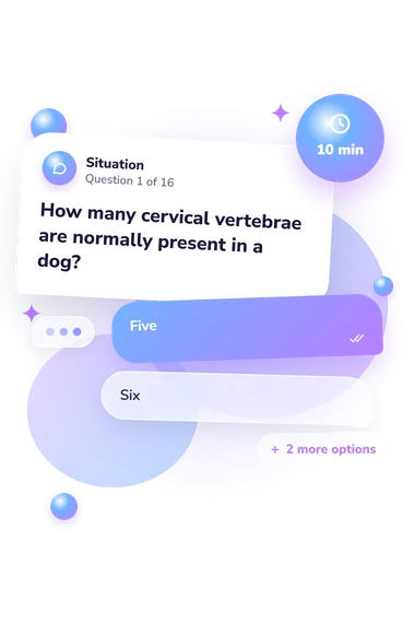 Animal Anatomy Quiz: situation and reply bubbles
