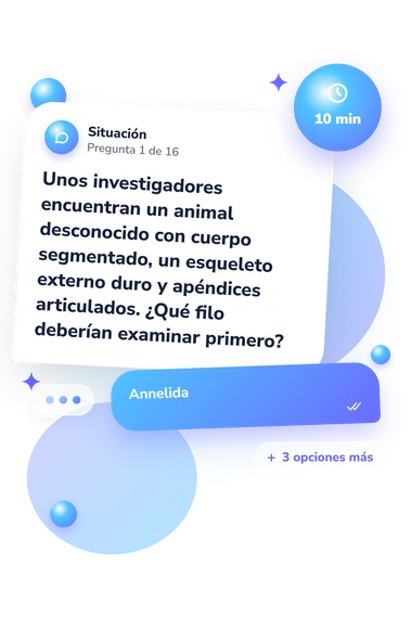 Test cuestionario sobre clasificación animal: situación y respuestas