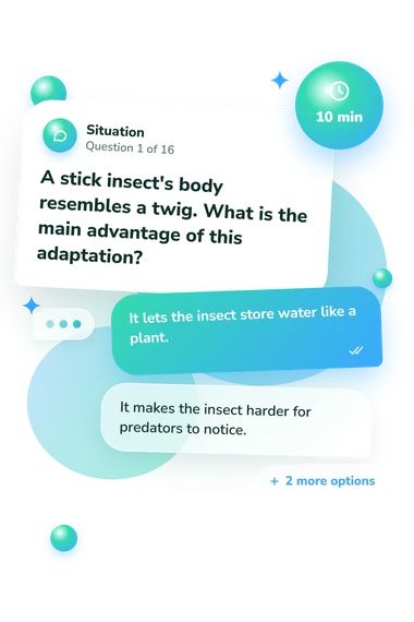 Animal Quiz for Kids: situation and reply bubbles