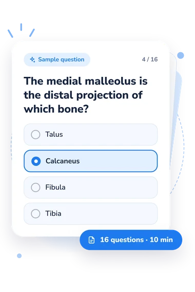 Ankle Anatomy Quiz: sample question card