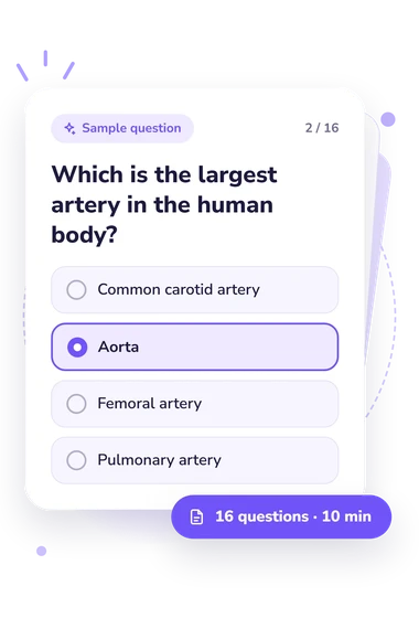 Arteries Quiz: sample question card