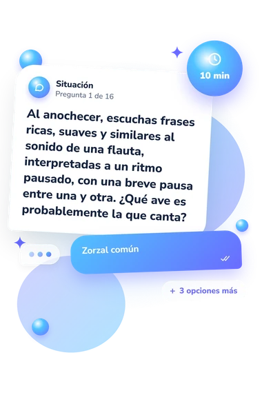 Test cuestionario sobre el canto: situación y respuestas