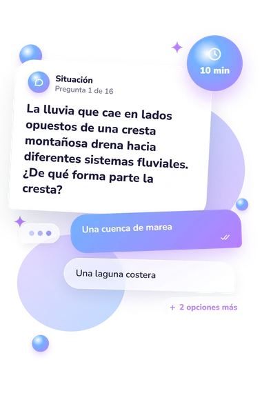 Test cuestionario sobre cuerpos: situación y respuestas