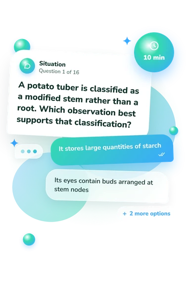 Botany Quiz: situation and reply bubbles