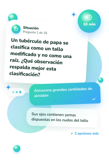Test cuestionario de botánica: situación y respuestas