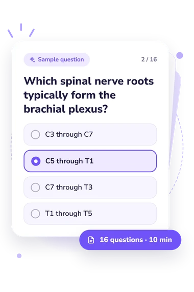 Brachial Plexus Quiz: sample question card