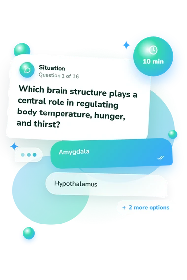 Brain Quiz: what would you do Brain Quiz: situation and reply bubbles