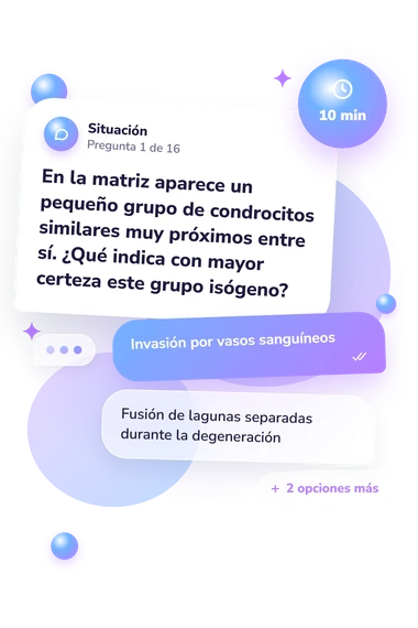 Test cuestionario de histología: situación y respuestas
