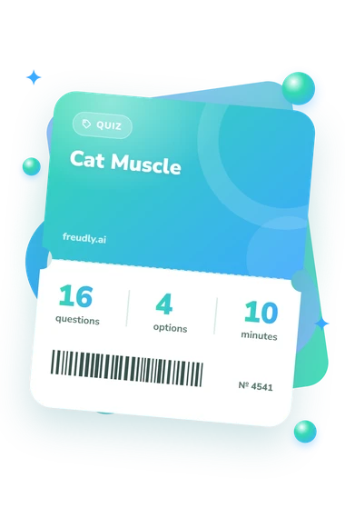 Cat Muscle Quiz: questions, options and minutes Cat Muscle Quiz: test ticket with numbers