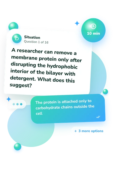 Cell Membrane Quiz: situation and reply bubbles