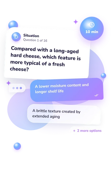 Cheese Quiz: what would you do Cheese Quiz: situation and reply bubbles