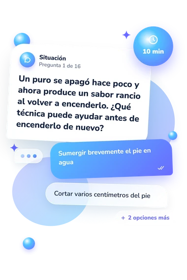 Test cuestionario sobre puros: situación y respuestas