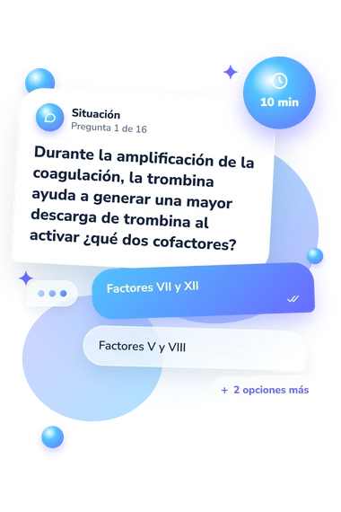 Test cuestionario sobre la cascada: situación y respuestas