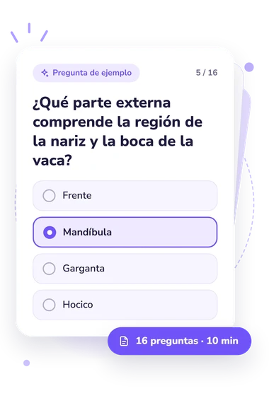 Test cuestionario sobre las partes: tarjeta con pregunta