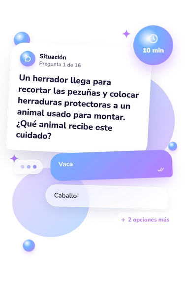 Test cuestionario sobre vacas, tigres: situación y respuestas