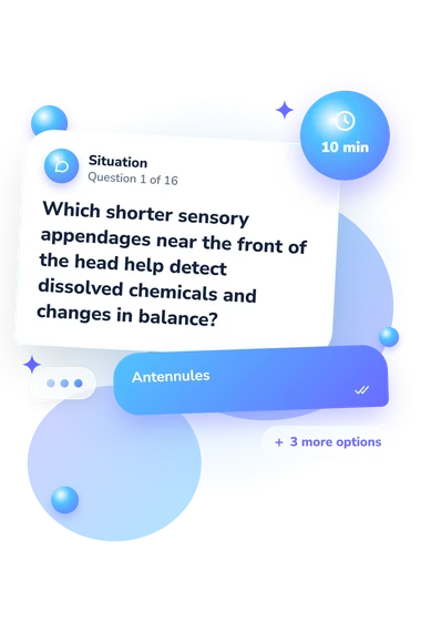 Crayfish Anatomy Quiz: what would you do Crayfish Anatomy Quiz: situation and reply bubbles