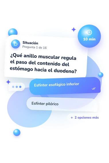 Test cuestionario de identificación: situación y respuestas