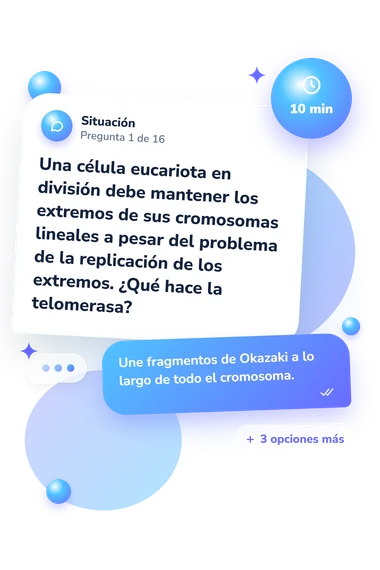 Test cuestionario sobre la replicación: situación y respuestas