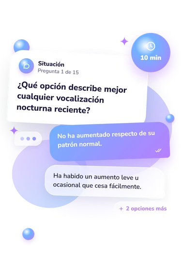 Test cuestionario: ¿Mi gato tiene: qué harías tú Test cuestionario: ¿Mi gato tiene: situación y respuestas