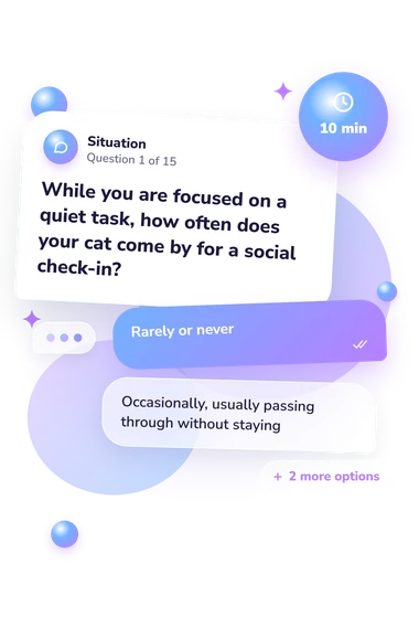 Does My Cat Love: what would you do Does My Cat Love: situation and reply bubbles