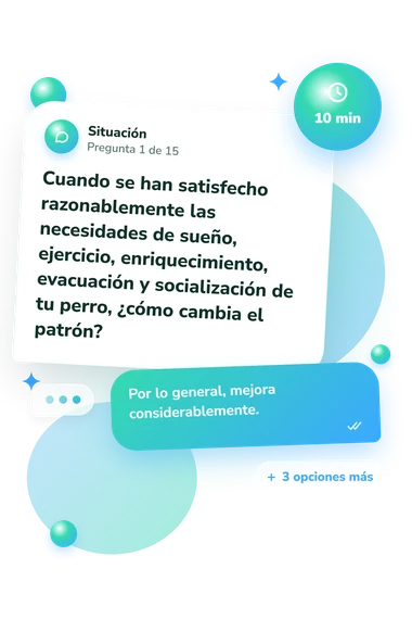 Test cuestionario: ¿Mi perro tiene: situación y respuestas