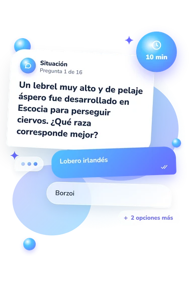 Test cuestionario de identificación: situación y respuestas