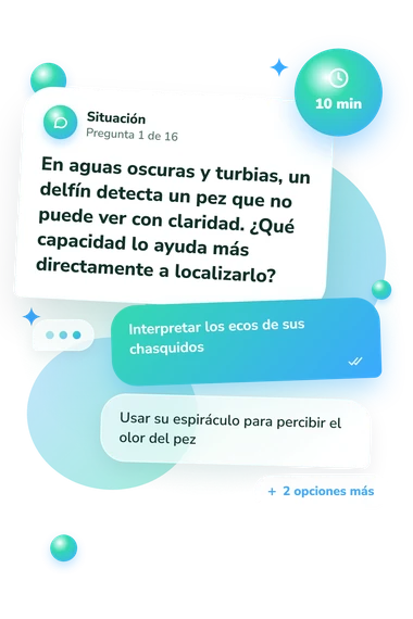 Test cuestionario sobre delfines: qué harías tú Test cuestionario sobre delfines: situación y respuestas