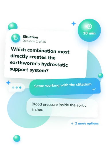 Earthworm Anatomy Quiz: situation and reply bubbles