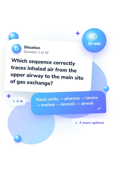 EMT Anatomy and Physiology: situation and reply bubbles