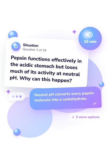 Enzyme Quiz: situation and reply bubbles
