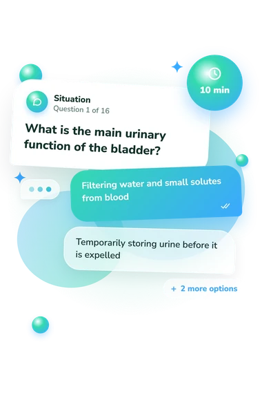 Excretory System Quiz: what would you do Excretory System Quiz: situation and reply bubbles