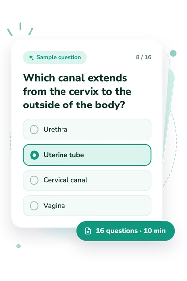 Female Anatomy Quiz: answers to choose from Female Anatomy Quiz: sample question card