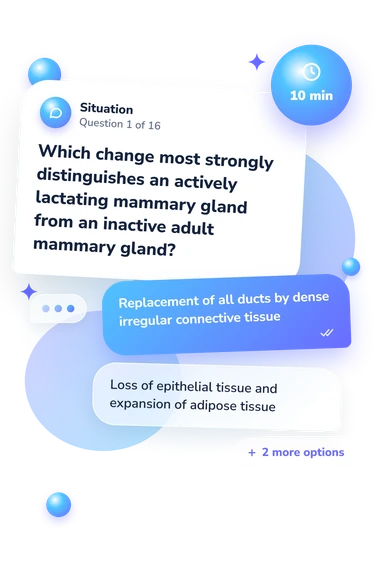 Female Reproductive System Histology: what would you do Female Reproductive System Histology: situation and reply bubbles