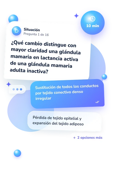 Test cuestionario de histología: situación y respuestas