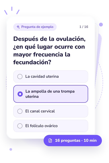 Test cuestionario sobre el sistema: pregunta y respuestas Test cuestionario sobre el sistema: tarjeta con pregunta