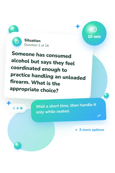 Firearm Safety Certificate Quiz: situation and reply bubbles
