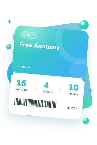 Free Anatomy Quiz: test ticket with numbers