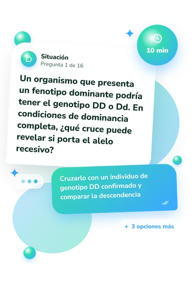 Test cuestionario sobre genotipos: situación y respuestas
