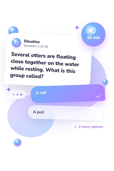 Groups of Animals Quiz: situation and reply bubbles