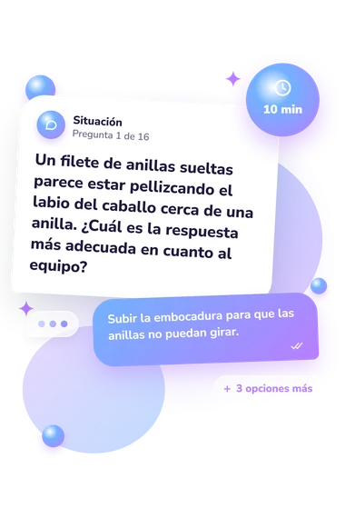 Test cuestionario sobre embocaduras: situación y respuestas