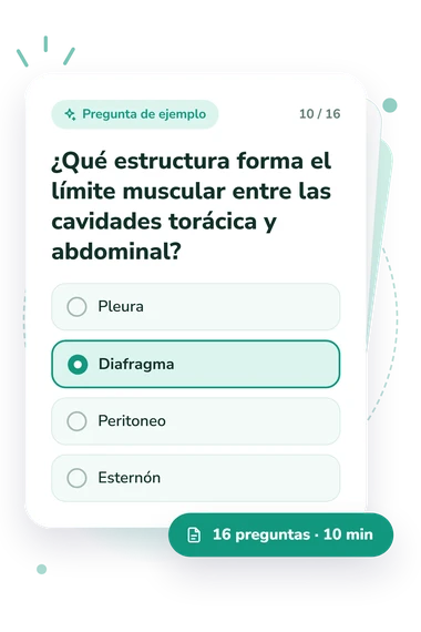 Test cuestionario de identificación: tarjeta con pregunta