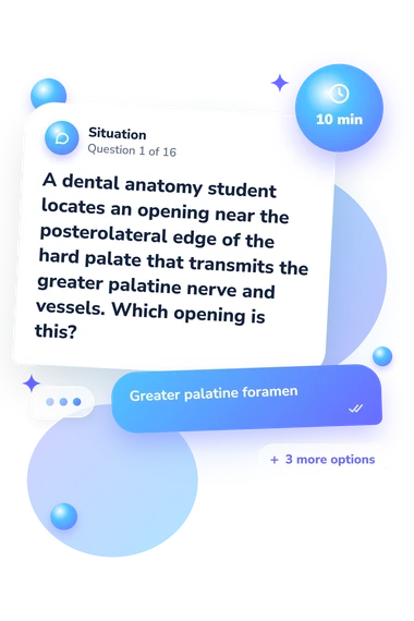 Inferior Skull Quiz: situation and reply bubbles
