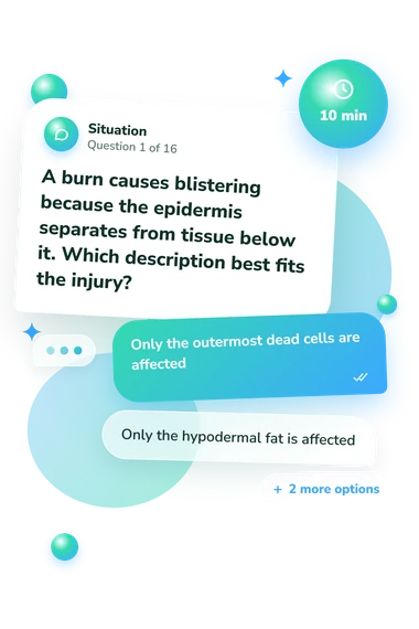 Integumentary System Quiz: what would you do Integumentary System Quiz: situation and reply bubbles