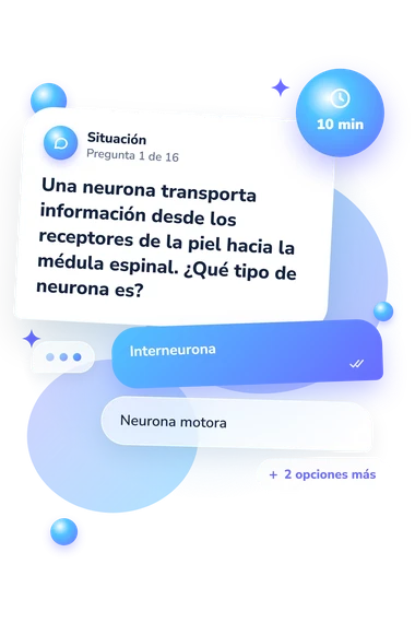 Test cuestionario de introducción: situación y respuestas