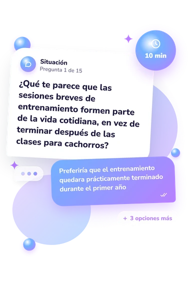 Test ¿Es un dóberman adecuado: situación y respuestas