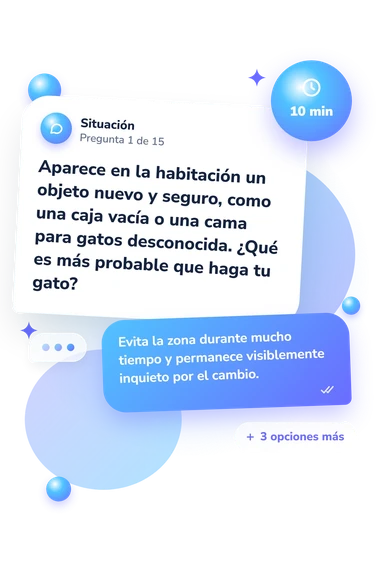 Test cuestionario: ¿Mi gato es: qué harías tú Test cuestionario: ¿Mi gato es: situación y respuestas