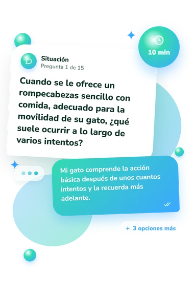Test cuestionario: ¿Tiene mi gato: situación y respuestas